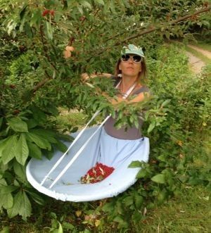 Пока не начались посадки-пололки нужно уже готовить приемчики для сбора урожая. В этом случае "принесла в подоле" к богатому урожаю и сытой зиме.